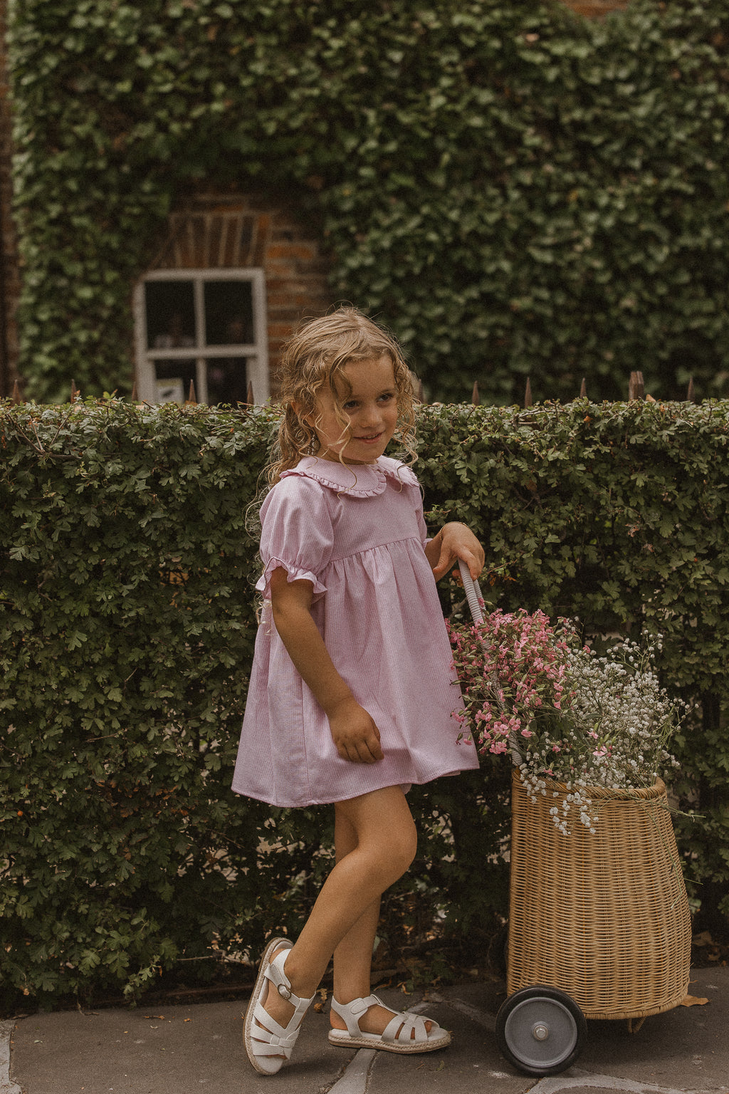 Pink Stripe Blossom Dress