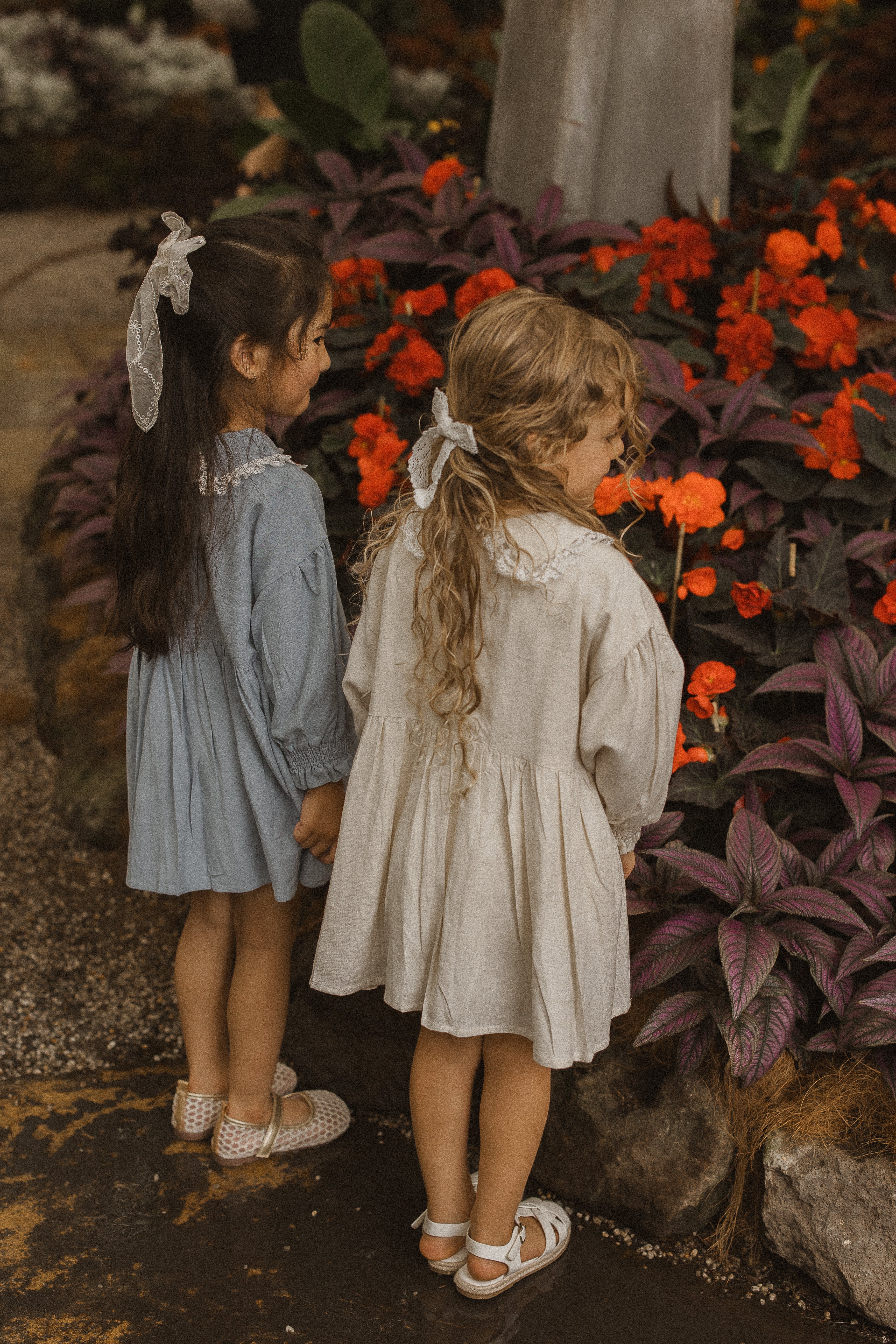 Lace Collar Linen Dress